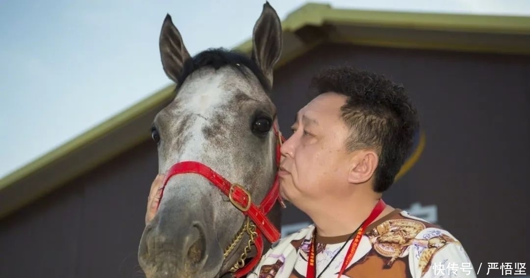 如果一旦与豪车发生碰撞