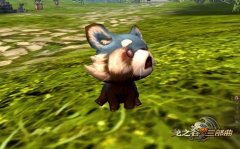 <b>满足你更多关于游戏的小乐趣</b>